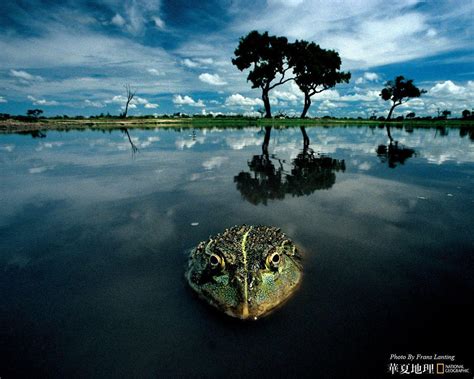 National Geographic .